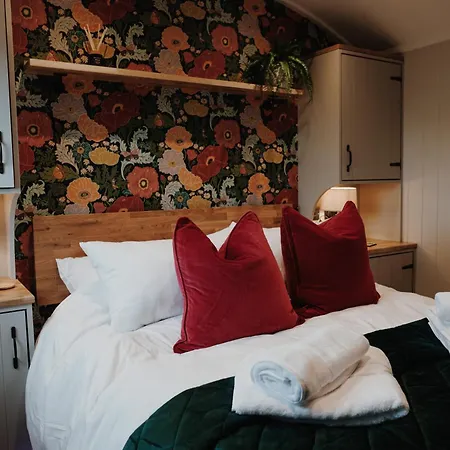 Brackenslack Shepherds Huts 营地 *